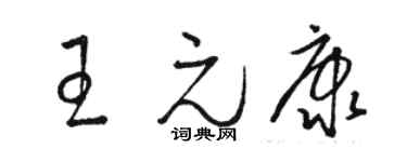 駱恆光王元康草書個性簽名怎么寫