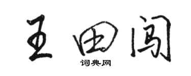 駱恆光王田闖行書個性簽名怎么寫