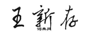 駱恆光王新存行書個性簽名怎么寫