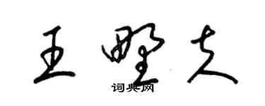 梁錦英王野夫草書個性簽名怎么寫