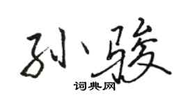 駱恆光孫駿行書個性簽名怎么寫