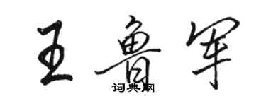 駱恆光王魯軍行書個性簽名怎么寫