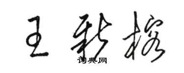 駱恆光王新榕草書個性簽名怎么寫