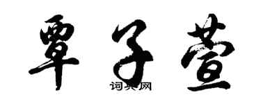 胡問遂覃子萱行書個性簽名怎么寫