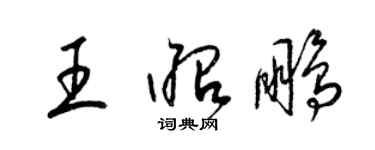 梁錦英王昭鵬草書個性簽名怎么寫