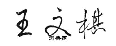 駱恆光王文棋行書個性簽名怎么寫