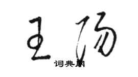 駱恆光王陽草書個性簽名怎么寫