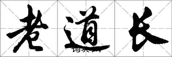 胡問遂老道長行書怎么寫