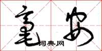 曾慶福毫安草書怎么寫