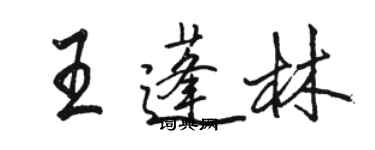 駱恆光王蓬林行書個性簽名怎么寫