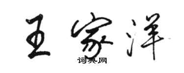 駱恆光王家洋行書個性簽名怎么寫