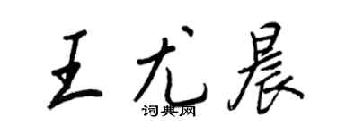 王正良王尤晨行書個性簽名怎么寫