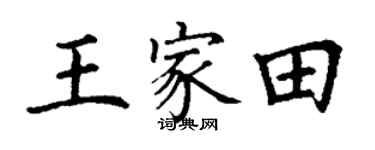丁謙王家田楷書個性簽名怎么寫