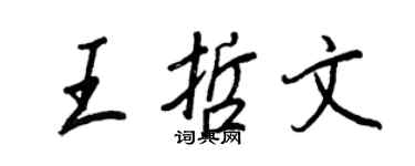 王正良王哲文行書個性簽名怎么寫