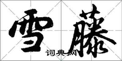 胡問遂雪藤行書怎么寫