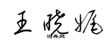 梁錦英王曉娓草書個性簽名怎么寫