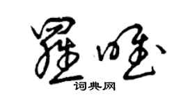 曾慶福羅唯草書個性簽名怎么寫