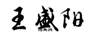 胡問遂王盛陽行書個性簽名怎么寫