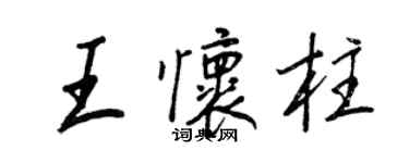 王正良王懷柱行書個性簽名怎么寫