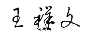 駱恆光王祥文草書個性簽名怎么寫