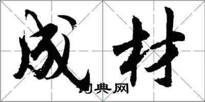 胡問遂成材行書怎么寫