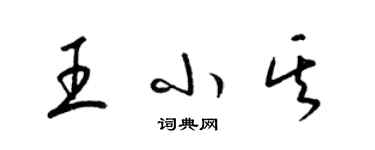 梁錦英王小其草書個性簽名怎么寫