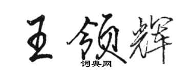 駱恆光王領輝行書個性簽名怎么寫