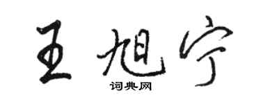 駱恆光王旭寧行書個性簽名怎么寫