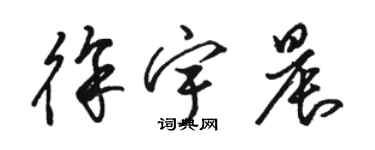 駱恆光徐宇晨草書個性簽名怎么寫