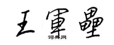 王正良王軍壘行書個性簽名怎么寫