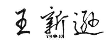 駱恆光王新遜行書個性簽名怎么寫