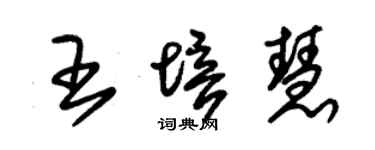 朱錫榮王培慧草書個性簽名怎么寫