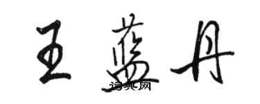 駱恆光王藍丹行書個性簽名怎么寫