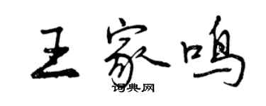 曾慶福王家鳴行書個性簽名怎么寫