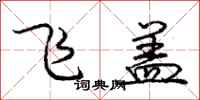 龐中華飛蓋行書怎么寫