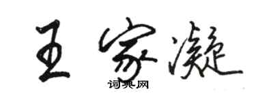 駱恆光王家凝行書個性簽名怎么寫