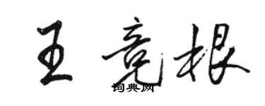 駱恆光王競根行書個性簽名怎么寫