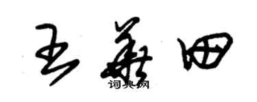 朱錫榮王華田草書個性簽名怎么寫