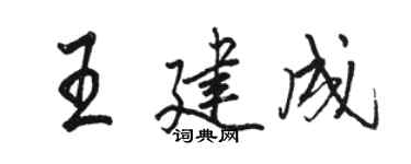 駱恆光王建成行書個性簽名怎么寫
