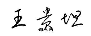 梁錦英王貴坦草書個性簽名怎么寫