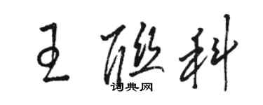 駱恆光王聯科草書個性簽名怎么寫