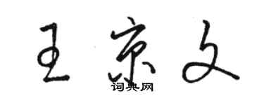 駱恆光王京文草書個性簽名怎么寫