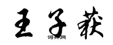胡問遂王子獲行書個性簽名怎么寫