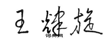 駱恆光王輝旋草書個性簽名怎么寫