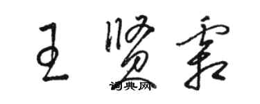 駱恆光王賢霜草書個性簽名怎么寫