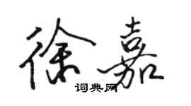 駱恆光徐嘉行書個性簽名怎么寫