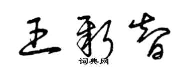 曾慶福王新智草書個性簽名怎么寫