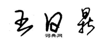 朱錫榮王日鼎草書個性簽名怎么寫