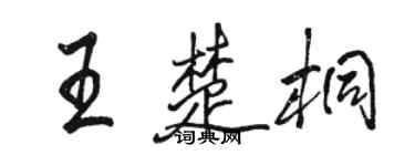 駱恆光王楚桐行書個性簽名怎么寫