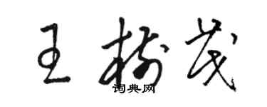 駱恆光王樹茂草書個性簽名怎么寫